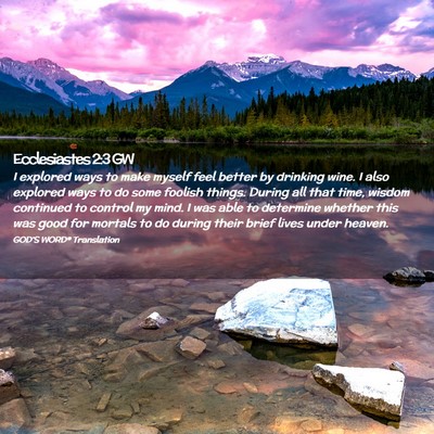 Picture 02 - Ecclesiastes 2:3 GW - I explored ways to make myself feel better by - Bible Verse Picture