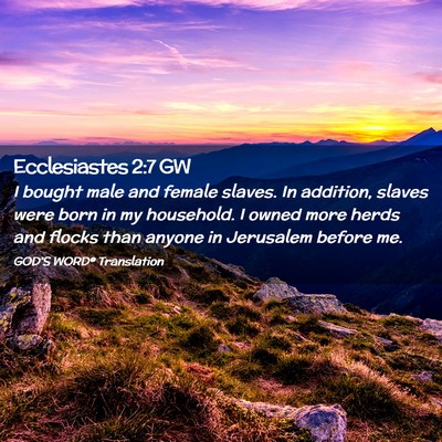 Picture 02 - Ecclesiastes 2:7 GW - I bought male and female slaves. In addition, - Bible Verse Picture