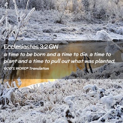 Picture 02 - Ecclesiastes 3:2 GW - a time to be born and a time to die, a time to - Bible Verse Picture