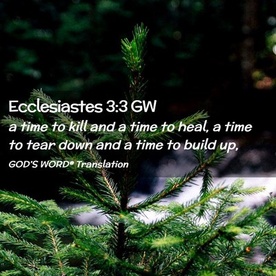 Picture 02 - Ecclesiastes 3:3 GW - a time to kill and a time to heal, a time to tear - Bible Verse Picture