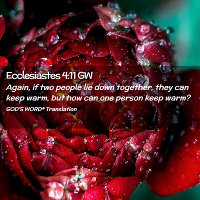 Picture 02 - Ecclesiastes 4:11 GW - Again, if two people lie down together, they can - Bible Verse Picture
