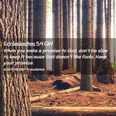 Picture 02 - Ecclesiastes 5:4 GW - When you make a promise to God, don’t be slow - Bible Verse Picture