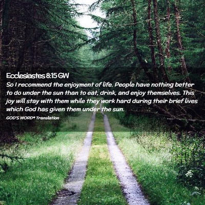 Picture 02 - Ecclesiastes 8:15 GW - So I recommend the enjoyment of life. People have - Bible Verse Picture