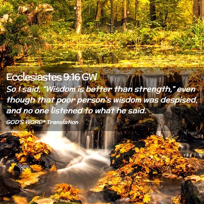 Picture 02 - Ecclesiastes 9:16 GW - So I said, “Wisdom is better than strength,” - Bible Verse Picture