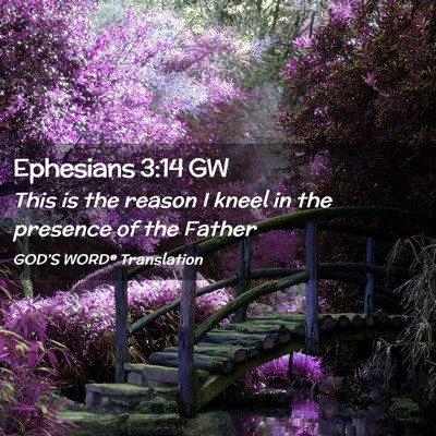 Picture 02 - Ephesians 3:14 GW - This is the reason I kneel in the presence of the - Bible Verse Picture