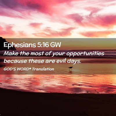 Picture 02 - Ephesians 5:16 GW - Make the most of your opportunities because these - Bible Verse Picture