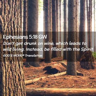 Picture 02 - Ephesians 5:18 GW - Don’t get drunk on wine, which leads to wild - Bible Verse Picture