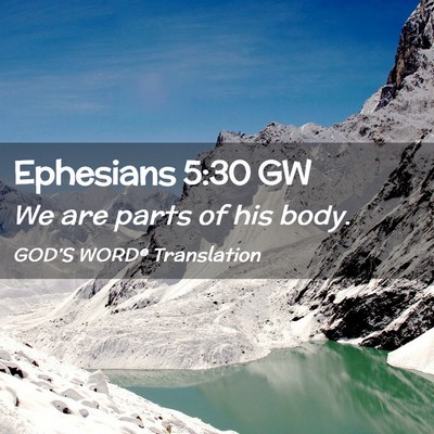 Picture 02 - Ephesians 5:30 GW - We are parts of his - Bible Verse Picture