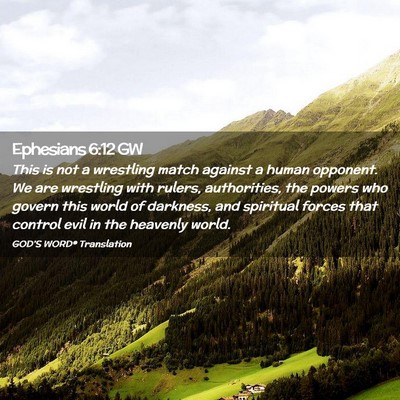 Picture 02 - Ephesians 6:12 GW - This is not a wrestling match against a human - Bible Verse Picture