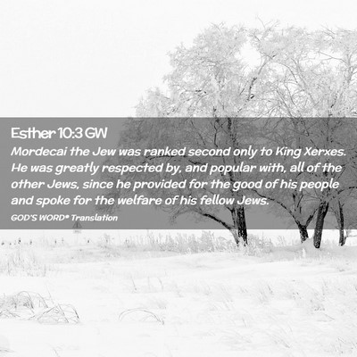 Picture 02 - Esther 10:3 GW - Mordecai the Jew was ranked second only to King - Bible Verse Picture