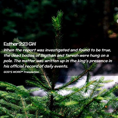 Picture 02 - Esther 2:23 GW - When the report was investigated and found to be - Bible Verse Picture