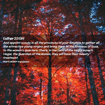 Picture 02 - Esther 2:3 GW - And appoint scouts in all the provinces of your - Bible Verse Picture