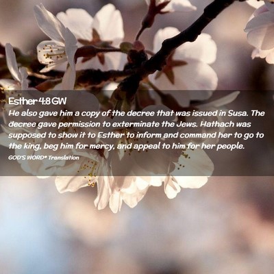 Picture 02 - Esther 4:8 GW - He also gave him a copy of the decree that was - Bible Verse Picture
