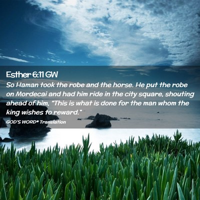 Picture 02 - Esther 6:11 GW - So Haman took the robe and the horse. He put the - Bible Verse Picture
