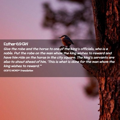Picture 02 - Esther 6:9 GW - Give the robe and the horse to one of the - Bible Verse Picture