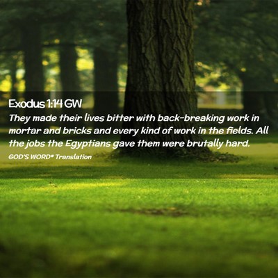 Picture 02 - Exodus 1:14 GW - They made their lives bitter with back-breaking - Bible Verse Picture