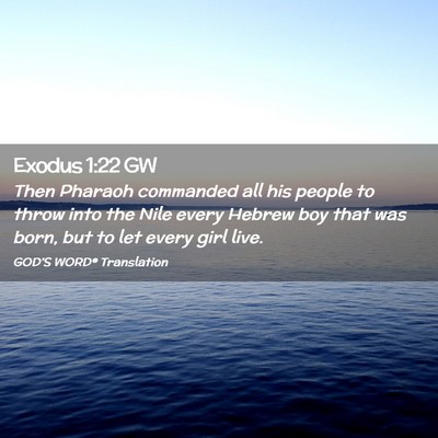 Picture 02 - Exodus 1:22 GW - Then Pharaoh commanded all his people to throw - Bible Verse Picture