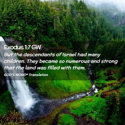 Picture 02 - Exodus 1:7 GW - But the descendants of Israel had many children. - Bible Verse Picture