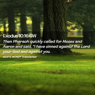Picture 02 - Exodus 10:16 GW - Then Pharaoh quickly called for Moses and Aaron - Bible Verse Picture