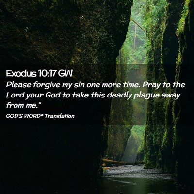 Picture 02 - Exodus 10:17 GW - Please forgive my sin one more time. Pray to the - Bible Verse Picture