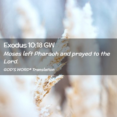 Picture 02 - Exodus 10:18 GW - Moses left Pharaoh and prayed to the - Bible Verse Picture