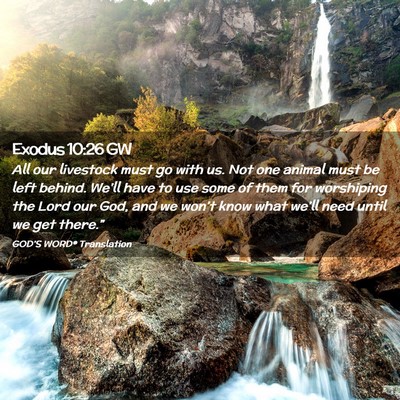 Picture 02 - Exodus 10:26 GW - All our livestock must go with us. Not one animal - Bible Verse Picture