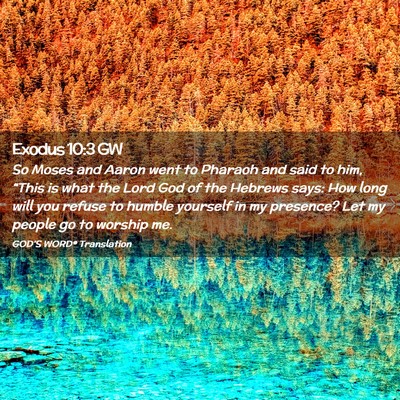 Picture 02 - Exodus 10:3 GW - So Moses and Aaron went to Pharaoh and said to - Bible Verse Picture