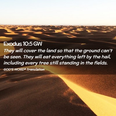 Picture 02 - Exodus 10:5 GW - They will cover the land so that the ground - Bible Verse Picture