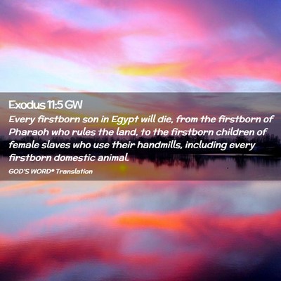 Picture 02 - Exodus 11:5 GW - Every firstborn son in Egypt will die, from the - Bible Verse Picture