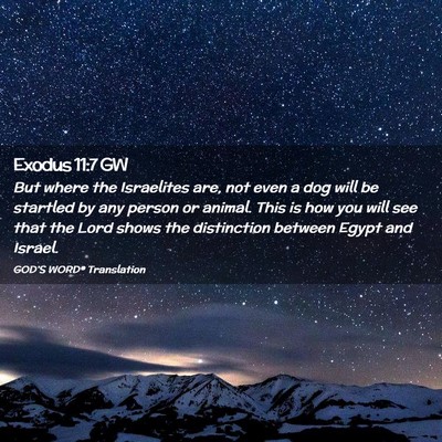 Picture 02 - Exodus 11:7 GW - But where the Israelites are, not even a dog will - Bible Verse Picture