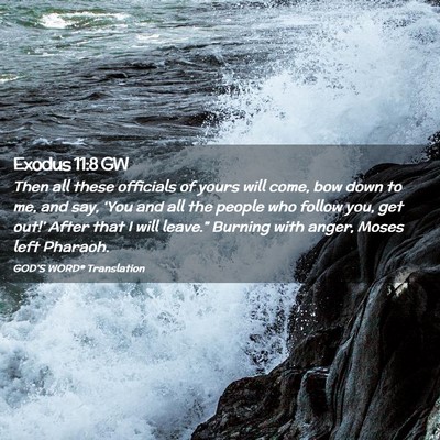 Picture 02 - Exodus 11:8 GW - Then all these officials of yours will come, bow - Bible Verse Picture