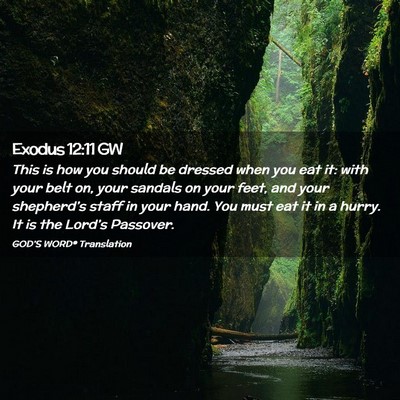 Picture 02 - Exodus 12:11 GW - This is how you should be dressed when you eat - Bible Verse Picture