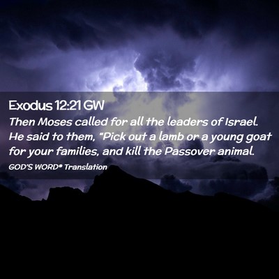 Picture 02 - Exodus 12:21 GW - Then Moses called for all the leaders of Israel. - Bible Verse Picture
