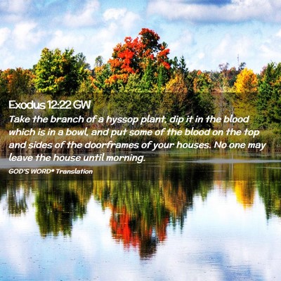 Picture 02 - Exodus 12:22 GW - Take the branch of a hyssop plant, dip it in the - Bible Verse Picture