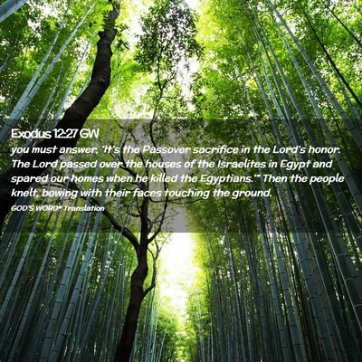 Picture 02 - Exodus 12:27 GW - you must answer, ‘It’s the Passover sacrifice - Bible Verse Picture