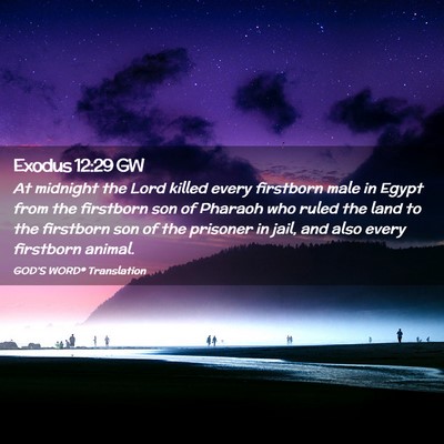 Picture 02 - Exodus 12:29 GW - At midnight the Lord killed every firstborn male - Bible Verse Picture
