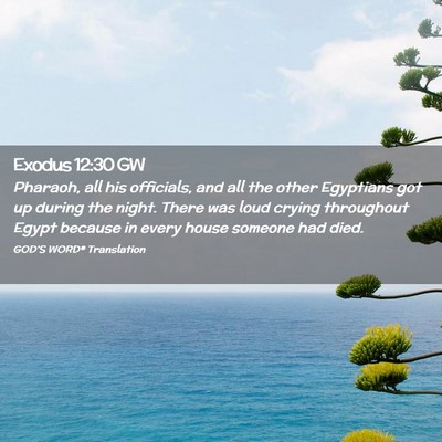 Picture 02 - Exodus 12:30 GW - Pharaoh, all his officials, and all the other - Bible Verse Picture