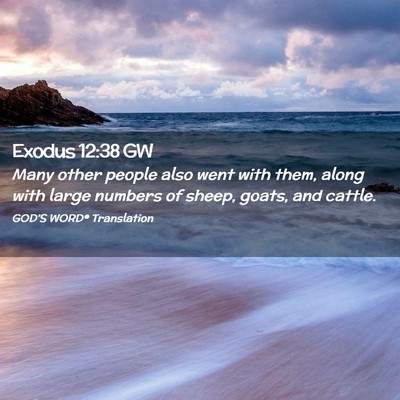 Picture 02 - Exodus 12:38 GW - Many other people also went with them, along with - Bible Verse Picture