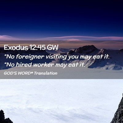 Picture 02 - Exodus 12:45 GW - “No foreigner visiting you may eat it. “No - Bible Verse Picture