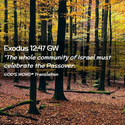 Picture 02 - Exodus 12:47 GW - “The whole community of Israel must celebrate - Bible Verse Picture