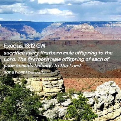 Picture 02 - Exodus 13:12 GW - sacrifice every firstborn male offspring to the - Bible Verse Picture