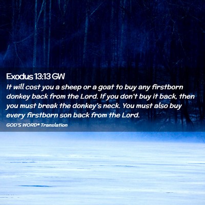 Picture 02 - Exodus 13:13 GW - It will cost you a sheep or a goat to buy any - Bible Verse Picture