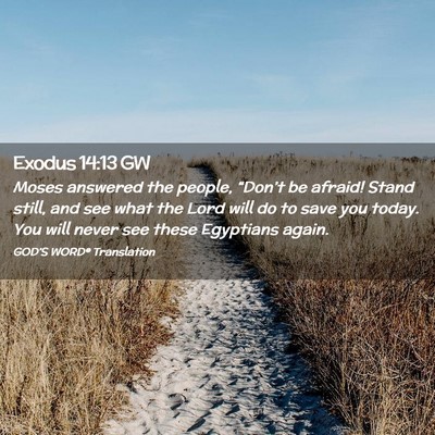Picture 02 - Exodus 14:13 GW - Moses answered the people, “Don’t be afraid! - Bible Verse Picture