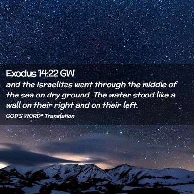 Picture 02 - Exodus 14:22 GW - and the Israelites went through the middle of the - Bible Verse Picture