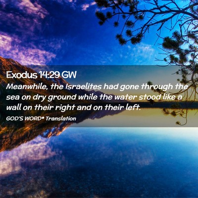 Picture 02 - Exodus 14:29 GW - Meanwhile, the Israelites had gone through the - Bible Verse Picture