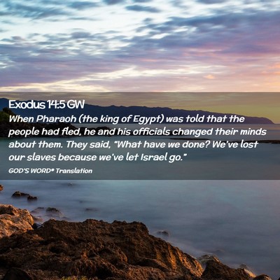 Picture 02 - Exodus 14:5 GW - When Pharaoh (the king of Egypt) was told that - Bible Verse Picture