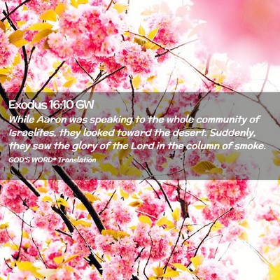 Picture 02 - Exodus 16:10 GW - While Aaron was speaking to the whole community - Bible Verse Picture