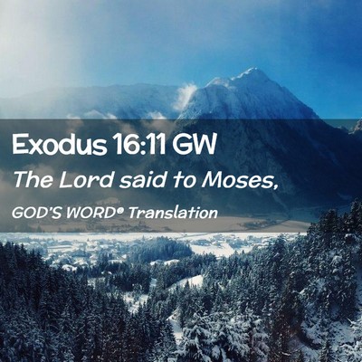 Picture 02 - Exodus 16:11 GW - The Lord said to - Bible Verse Picture