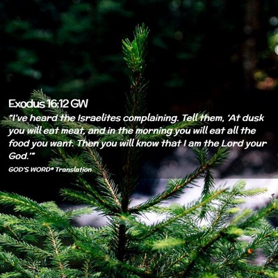 Picture 02 - Exodus 16:12 GW - “I’ve heard the Israelites complaining. Tell - Bible Verse Picture