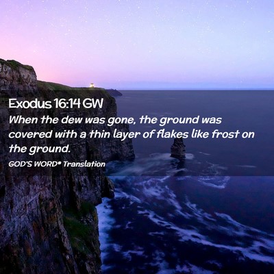 Picture 02 - Exodus 16:14 GW - When the dew was gone, the ground was covered - Bible Verse Picture